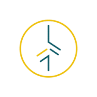 Centro Raíces Fisioterapia