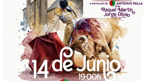 Novillada con picadores en Alba de Tormes por 10 €